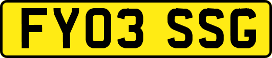 FY03SSG