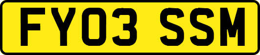 FY03SSM