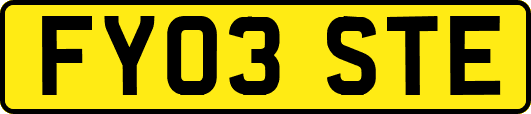 FY03STE