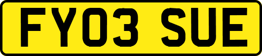 FY03SUE