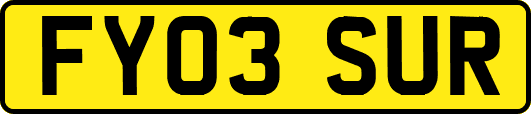 FY03SUR