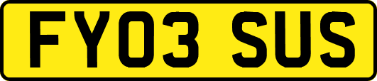 FY03SUS