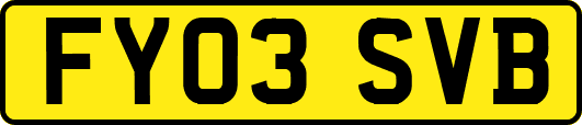 FY03SVB