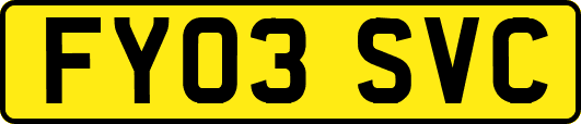 FY03SVC