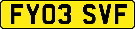 FY03SVF