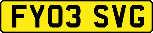 FY03SVG