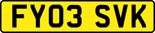 FY03SVK