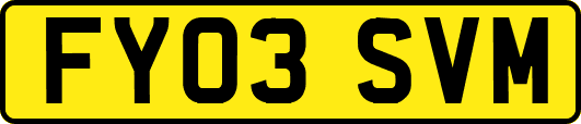 FY03SVM