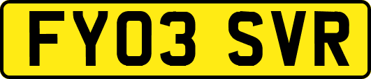 FY03SVR