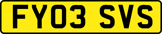 FY03SVS