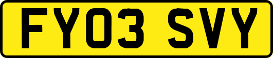 FY03SVY