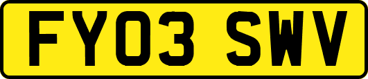 FY03SWV