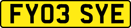 FY03SYE