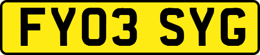 FY03SYG