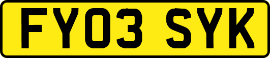 FY03SYK