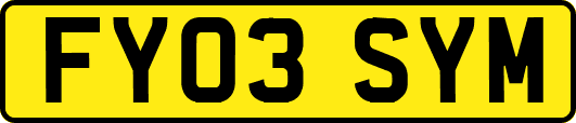 FY03SYM