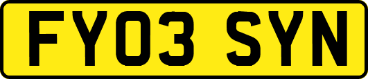 FY03SYN