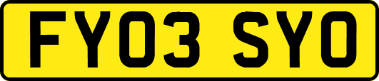 FY03SYO