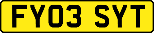 FY03SYT
