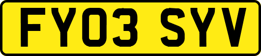 FY03SYV