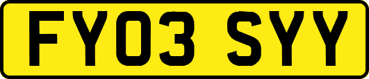 FY03SYY