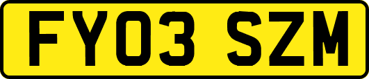 FY03SZM