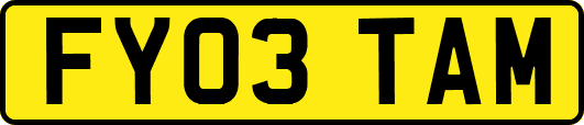 FY03TAM