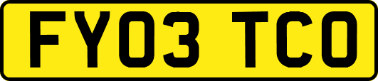 FY03TCO