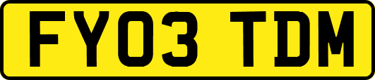FY03TDM