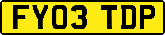 FY03TDP