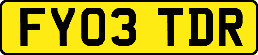FY03TDR