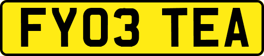 FY03TEA