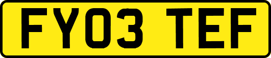 FY03TEF