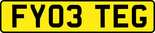 FY03TEG