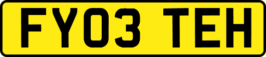 FY03TEH
