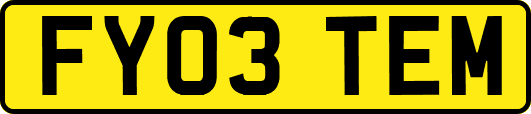 FY03TEM