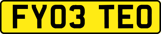 FY03TEO