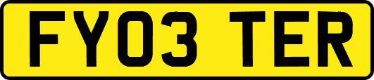 FY03TER