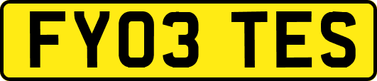 FY03TES