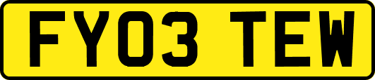 FY03TEW