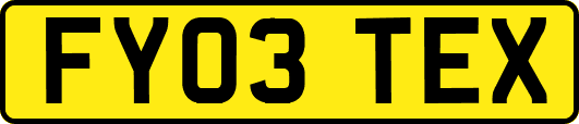 FY03TEX