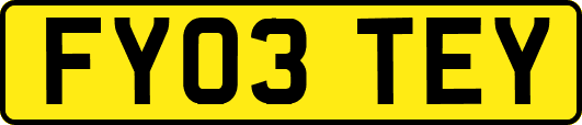 FY03TEY