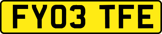 FY03TFE