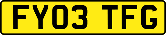 FY03TFG