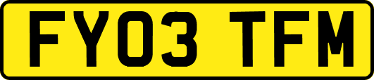 FY03TFM