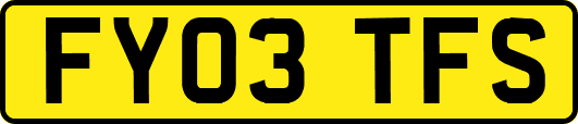 FY03TFS