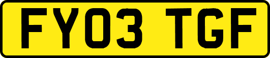 FY03TGF