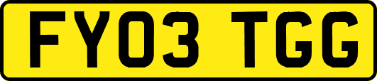 FY03TGG