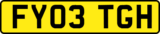 FY03TGH