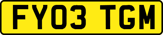 FY03TGM